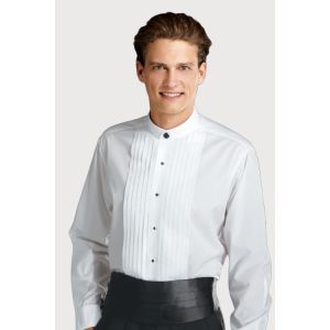 White Banded Collar